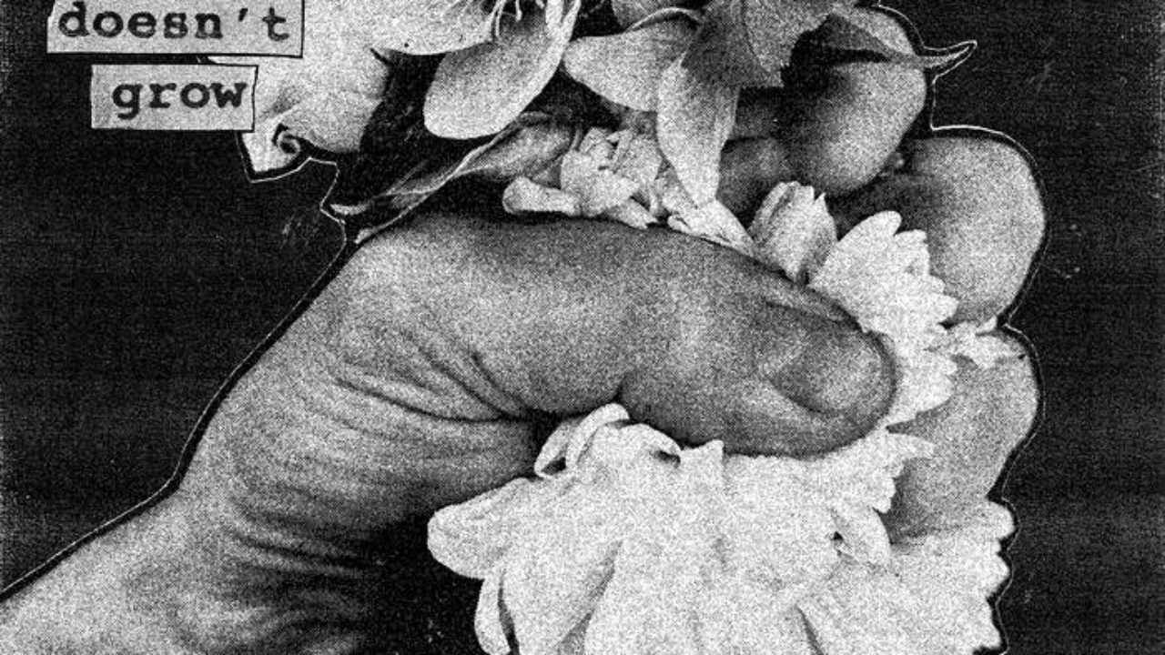 Softcult-when-a-flower-doesnt-
